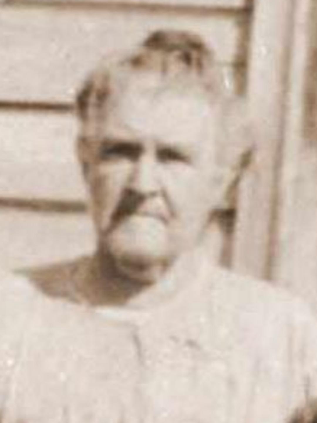Mary Alice Mills (1842 - 1926) Profile